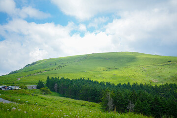 Blue sky and white clouds contrast over peaks, summer light sharpening ridgelines and wild grasses on Kirigamine, creating a vast bright peaceful scene. Nagano Prefecture, Kirigamine, Japan, summer.