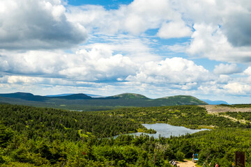 Obraz premium nature,