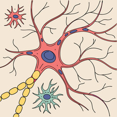 Colorful Illustration of Neuron Cell Structure