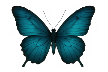 Blue butterfly spreading wings, isolated on transparent background, ideal for graphic design compositions