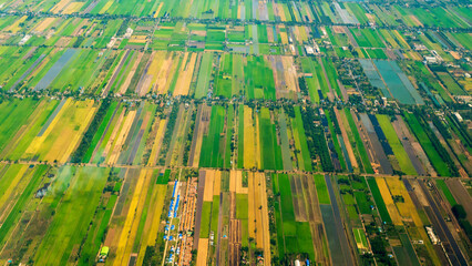 Banner Aerial view Green paddy rice terrace land. Aerial drone shots summer tropical in summertime. Banner Amazing green paddy meadow landscape. Agriculture rice field view greenery background