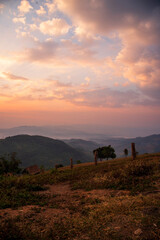 Vertical Horizon Blue golden sky sunrise dramatic beautiful landscape mountain. Dawn sky gold time cloudscape. Vertical Dramatic sunset over mountain landscape. Beautiful landscape fog morning hills