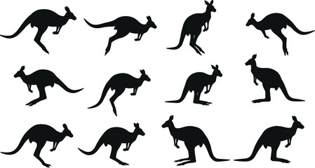 horse silhouettes collection flat vector illustration