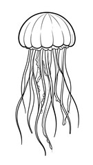 Line drawing of a jellyfish, bell-shaped body and numerous tentacles