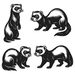 vector illustration of a black and white ferret 