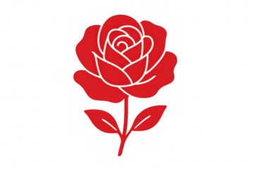 Red rose with white outline blooming on transparent background, ideal for adding a touch of elegance to various design projects