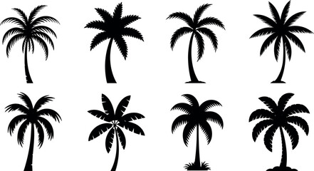 Collection of eight distinct black silhouette palm trees against a stark white background