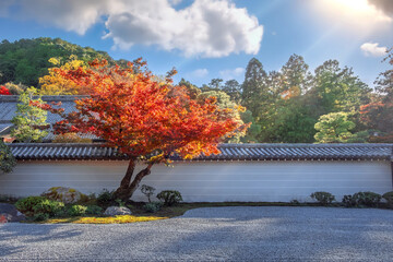 Scenic view of Nanzenji  temple and Hojo garden with beautiful foliage in autumn in Kyoto, Japan