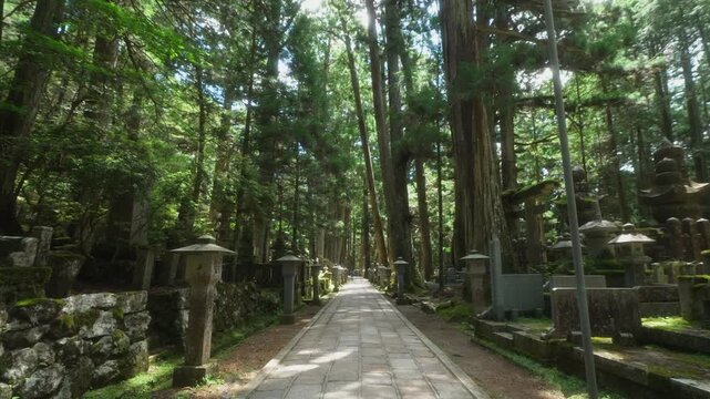 Summer at Okunoin, Koyasan &mdash; Wakayama, Japan (World Heritage Sacred Site)　夏の高野山「奥之院」和歌山県高野町