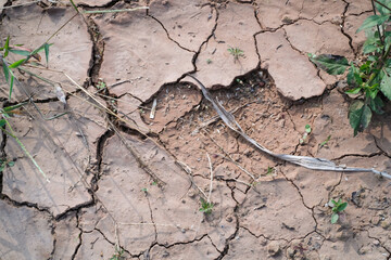 Abstract rough texture of cracks in dry soil. Close-up shot of clay surface cracking and splitting...
