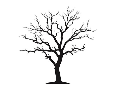 A stark black silhouette of a leafless tree against a white background