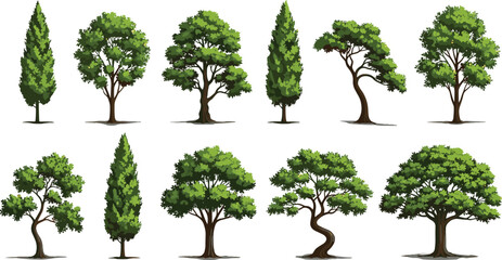 Collection of realistic green tree illustrations, diverse species, forest elements, botanical design, landscape foliage, flat vector.eps