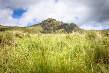 Pichincha Province, Quito, Ecuador - July 5, 2025: The Pasochoa volcano is located in the Pasochoa wildlife refuge. It is an extinct volcano, 4,200 meters high.