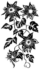 Passion flower vine silhouette decoration border