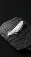 Feather on dark stone surface
