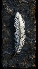 Feather on dark textured background
