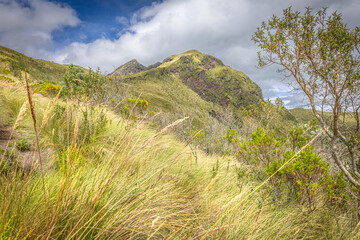 Pichincha Province, Quito, Ecuador - July 5, 2025: The Pasochoa volcano is located in the Pasochoa...