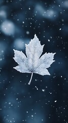 Frosted maple leaf in winter
