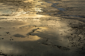 夏の奄美大島の夜明け前の珊瑚礁の海。