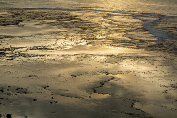 夏の奄美大島の夜明け前の珊瑚礁の海。