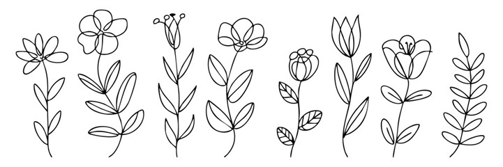 Elegant floral sketch vector line art illustration. Flower sketch, flower vector, flower line, flower transparent background, floral design.