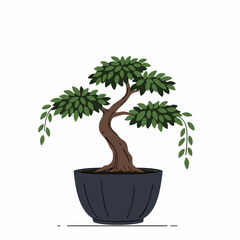 Obraz premium Serene Bonsai Tree in Dark Pot with Cascading Branches