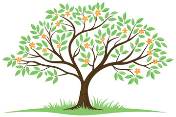 Fototapeta premium Adobe Illustrator Artwork