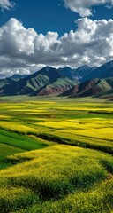 Obraz premium Mountainous landscape with vibrant fields