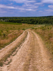 A dirt road in the middle of a grassy field