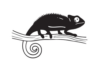 Fototapeta premium Chameleon Vector Silhouette Illustration in Side Profile with Curled Tail on White Background.
