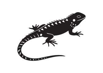 Black Silhouette of Green Iguana Lizard Reptile in Side View on White Background.