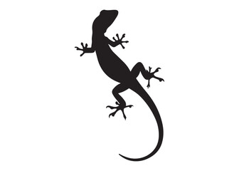 Vector Silhouette of a Lizard in Crawling Pose for Reptile and Wildlife Design.
