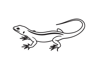 Lizard Icon Silhouette with Long Tail in Flat Vector Format on White Background.