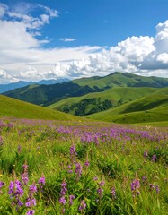 Lush mountain meadow with wildflowers