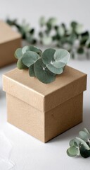 Light beige gift box with eucalyptus leaves (1)