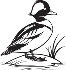 Bufflehead bird silhouette vector design with white basckground .
