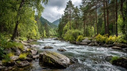 Obraz premium Crystal clear water rushes over smooth rocks in a vibrant green forest. Towering trees line the riverbanks, while distant mountains create a dramatic backdrop under an overcast sky.