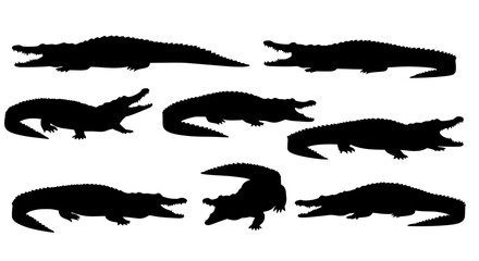Silhouette of Crocodiles: A collection of black crocodile silhouettes, isolated to a solid background. Each one shows different pose or action.