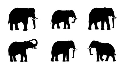 Elephant Silhouettes: A captivating series of elegant elephant silhouettes, offering a versatile resource for design, illustration, or educational purposes.