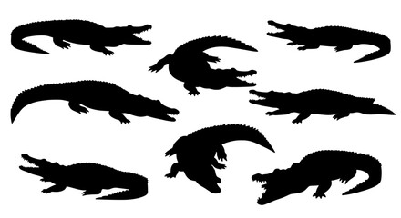 Silhouette of Alligator: A collection of silhouetted alligators in various poses, providing a striking visual representation of these prehistoric creatures.