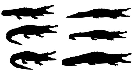 Silhouette Crocodiles: A collection of stylized crocodile silhouettes, showcasing the iconic shape and texture of these prehistoric reptiles in stark, high-contrast black and white.