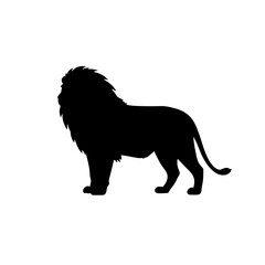 Majestic Silhouette: A formidable lion stands tall in a bold, black silhouette, capturing its regal posture and powerful presence. 