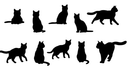 Shadow Cats Silhouette Collection: A sleek and artistic silhouette collection showcasing a variety of cat poses and perspectives, perfect for design or illustration.