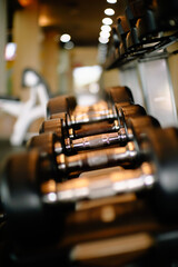 A close-up of a row of dumbbells neatly arranged on a rack in a gym.