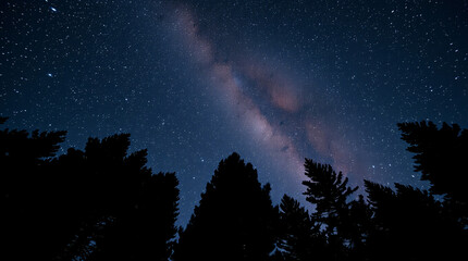 Majestic starry night sky with the glowing Milky Way rising above the silhouette of tall pine trees in a serene forest landscape