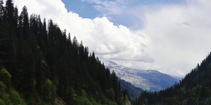 scenic mountain landscape, snowcapped himalaya and lush green forest near atal tunnel, manali hillstation in kullu valley in himachal pradesh, india