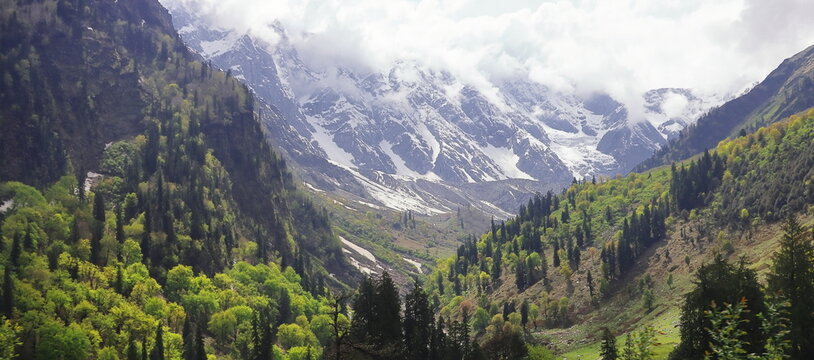 scenic mountain landscape, snowcapped himalaya and lush green forest near atal tunnel, manali hillstation in kullu valley in himachal pradesh, india