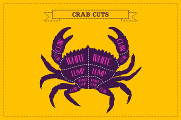 Crab Cutting Guide with Orange Background in vector format