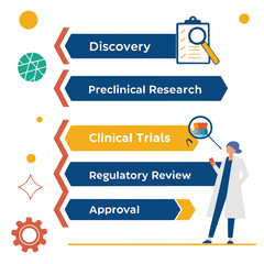 Vaccine development and testing phases timeline generated by ai