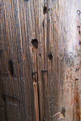 Staples in a telephone pole